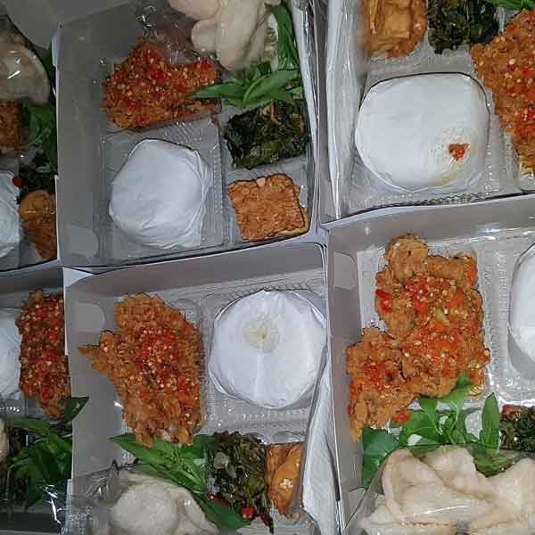 nasi kotak Leuwisadeng - Bogor